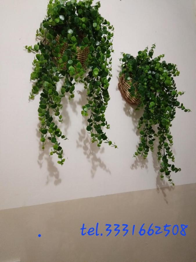 Apartment Gioberti Casale Monferrato